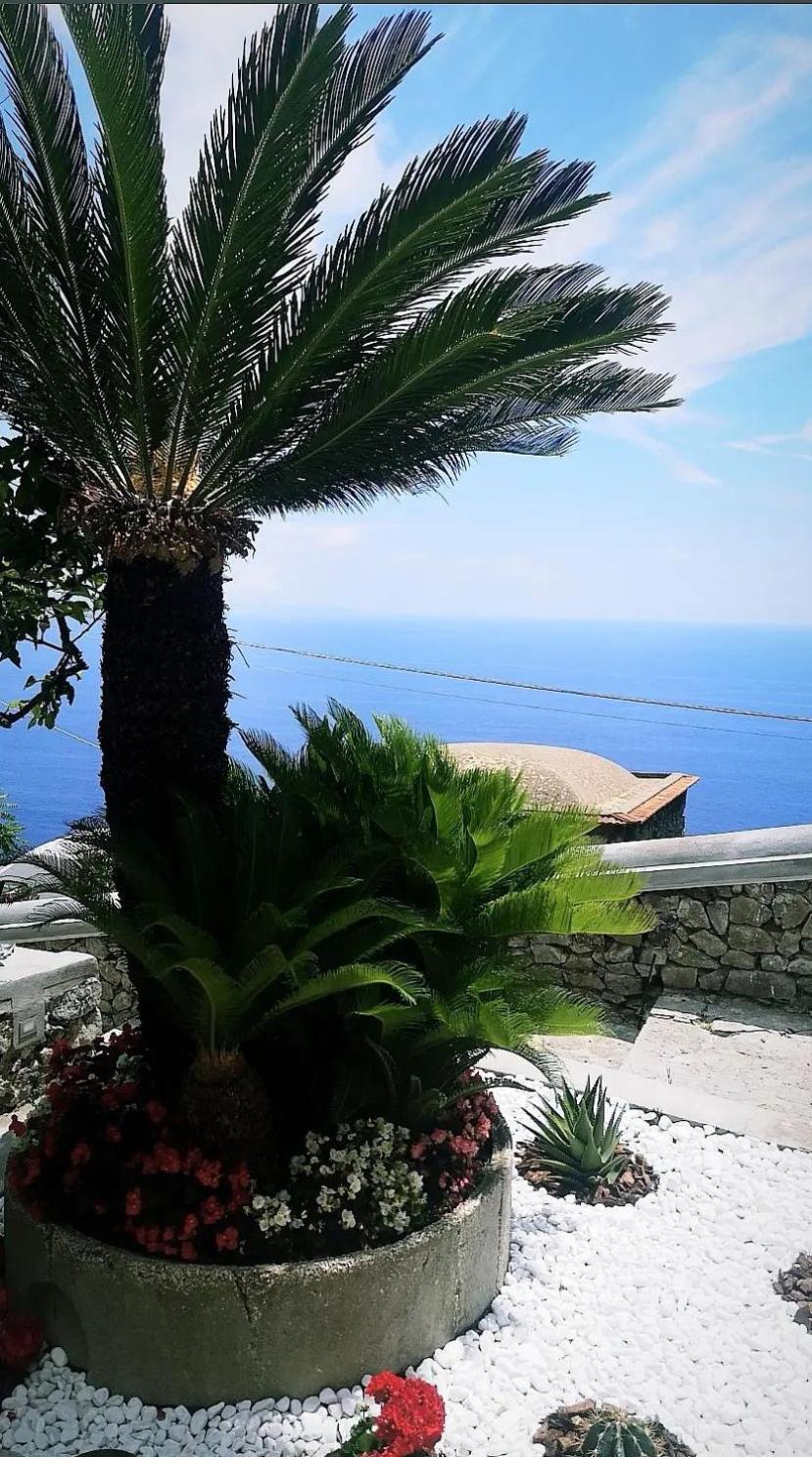 Villa Furoris Apartment Фуроре Экстерьер фото